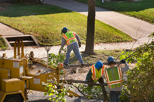  Enlow, PA Tree Removal and Landscaping Services Pros